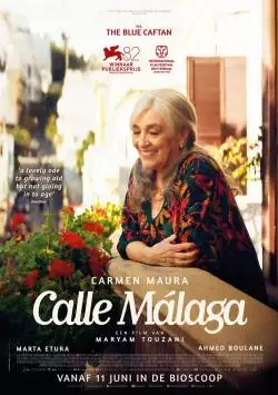CalleMalaga_134208341594742310_big-cine_deskt.webp