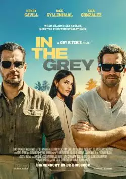 IntheGrey_134225419781300765_big-cine_deskt.webp